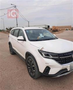 دونج فينج T5L